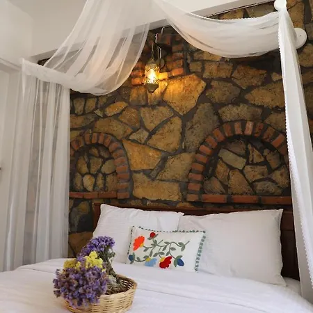 Adahan ボズカーダ