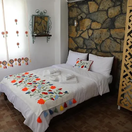 ホテル Adahan ボズカーダ